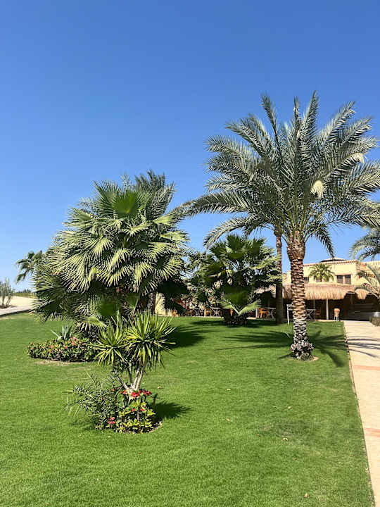 Außenansicht Steigenberger Coraya Beach - Adults only