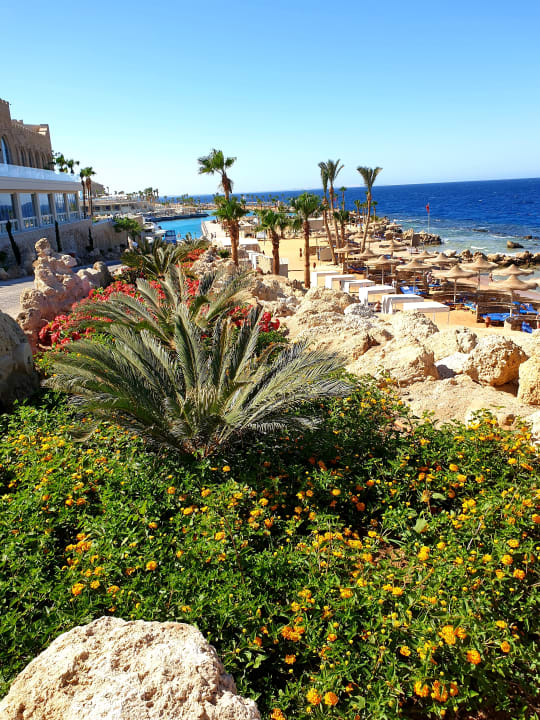 Gartenanlage Pickalbatros Citadel Resort