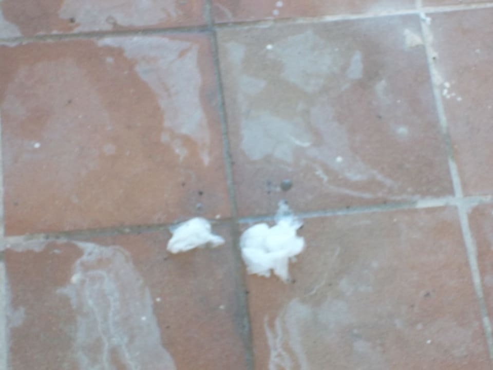 Wenn man nette Nachbarn hat AV Hotels Don Pepe - Adults only