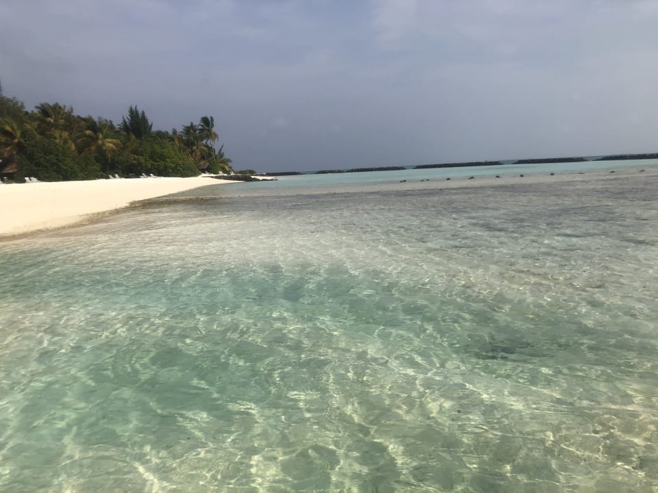 Strand Summer Island Maldives