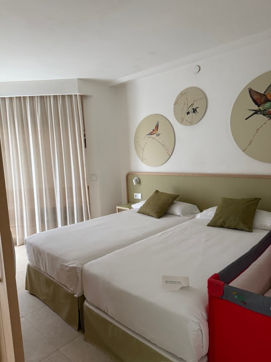 Zimmer Iberostar Selection Albufera Park