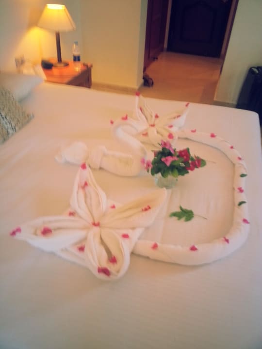 Hat unser Roomboy gemacht Le Jardin Aqua Park Resort