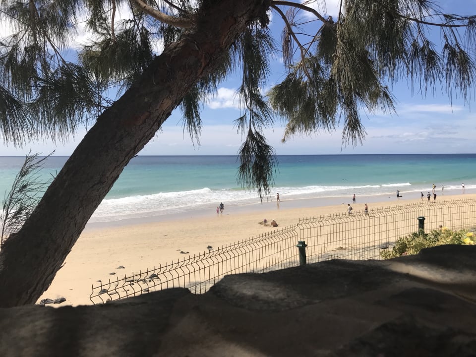 Strand Aldiana Club Fuerteventura