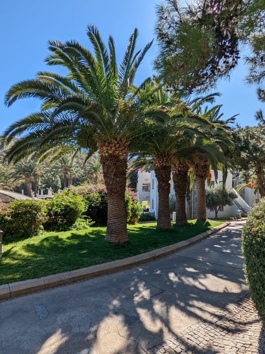 Gartenanlage Hapimag Sea Garden Resort