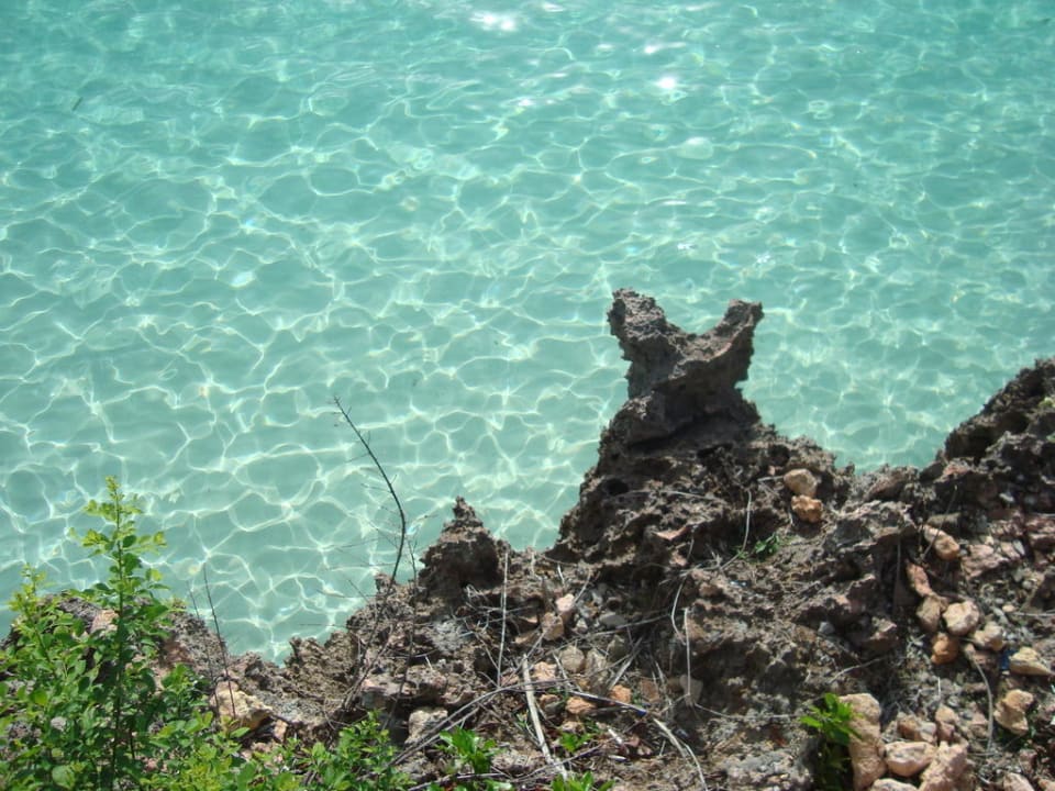 Sehr klares Wasser Royal Zanzibar Beach Resort