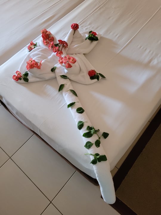 Zimmer Jaz Dar EL Madina