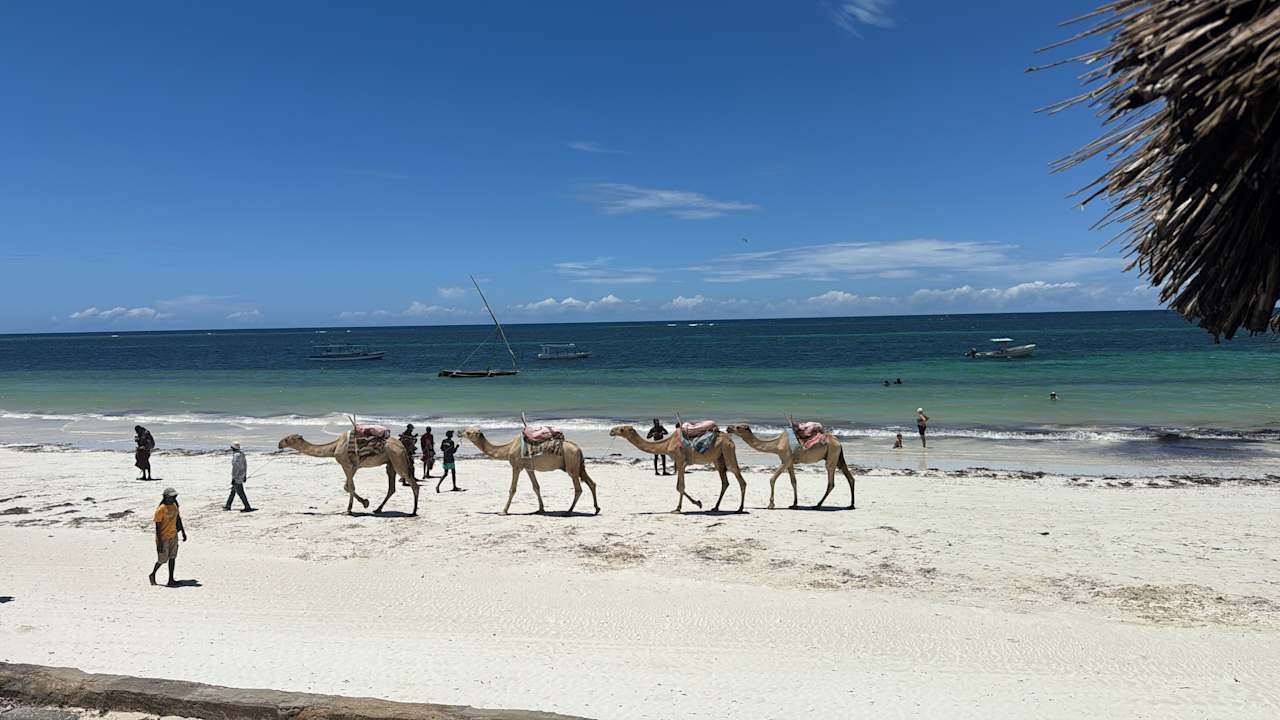 Strand Diani Sea Resort