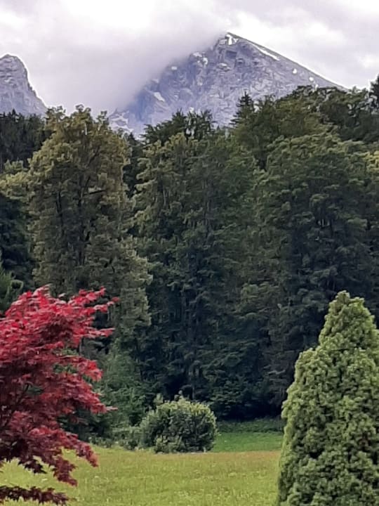 Außenansicht Alm- & Wellnesshotel Alpenhof