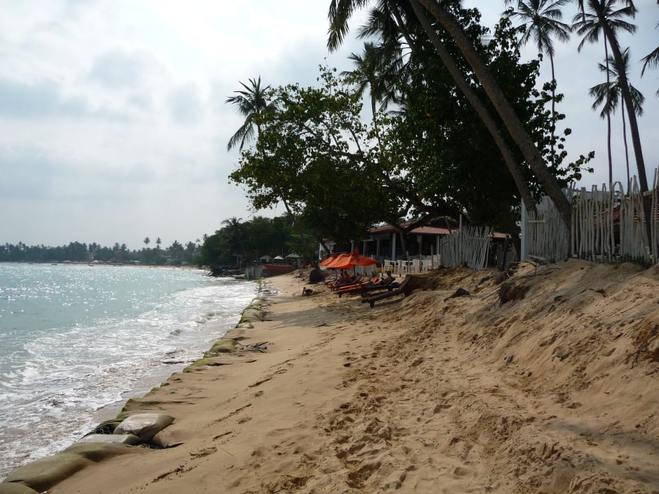 Der schmale Strand Calamander Unawatuna Beach Resort