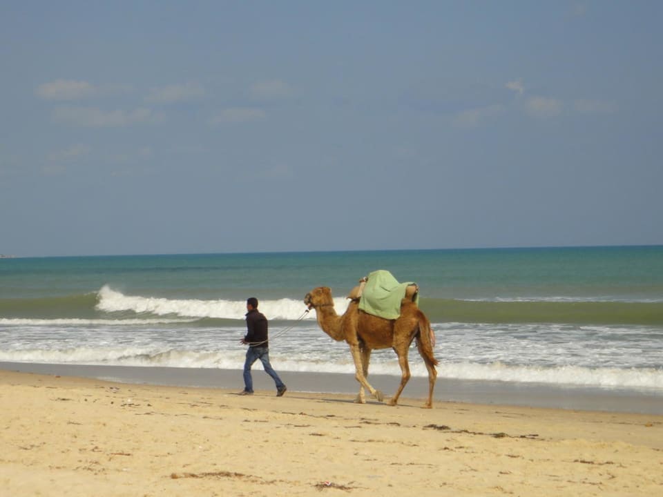 La plage Club Salammbô Hammamet