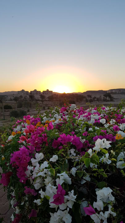 Außenansicht Three Corners Equinox Beach Resort