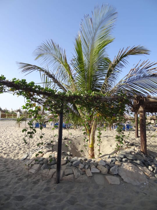 Strand Hotel Riu Karamboa
