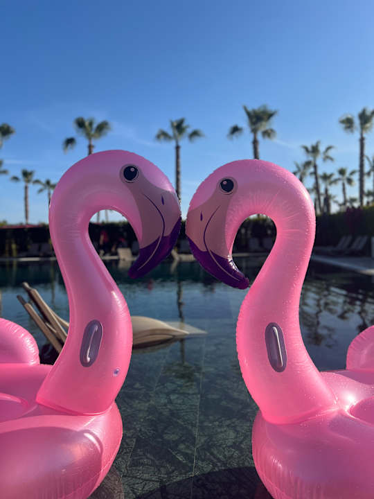 Pool Serenity Queen Hotel