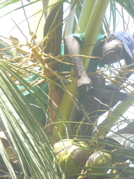 Gartenanlage Neptune Village Beach Resort & Spa