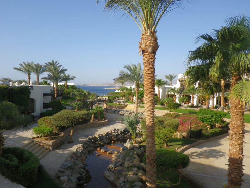 Das ist ein Anblick... Sharm Resort