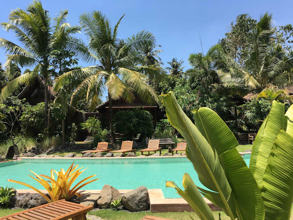 Pool Desa Saya Eco Luxury Resort & Spa - Adults only