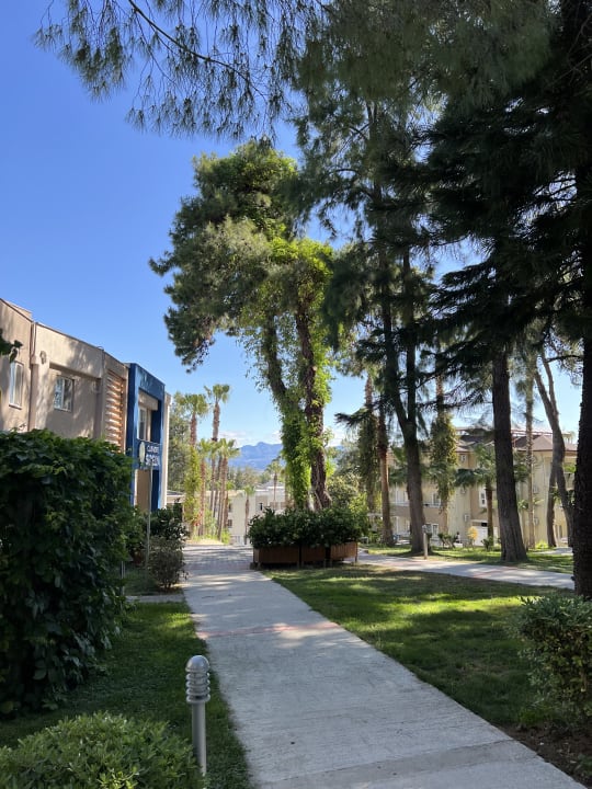 Gartenanlage Club Sidelya Hotel