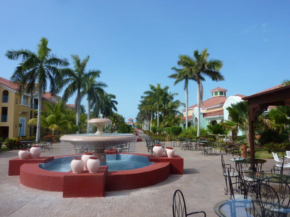 Zahrada v areali Iberostar Origin Playa Alameda