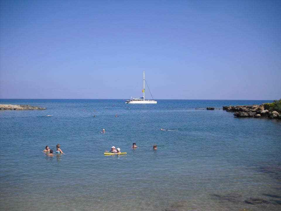 Steiniger Strand dafür aber kristallklares Wasser Crystal Springs Beach Hotel