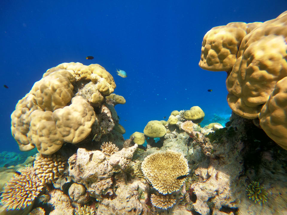 Sport & Freizeit ROBINSON MALDIVES