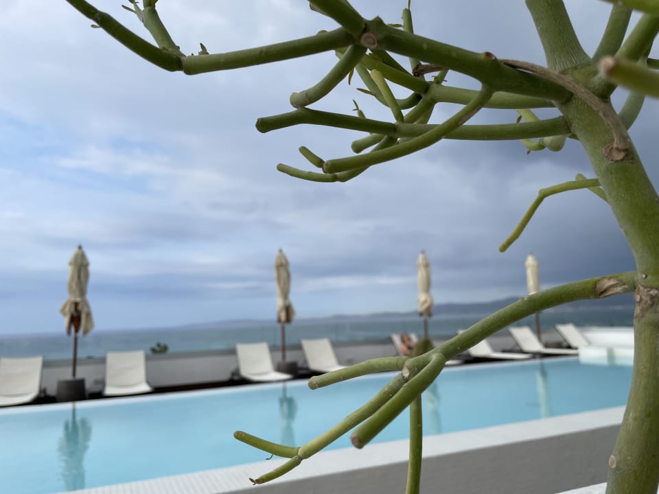 Pool Hotel HM Ayron Park