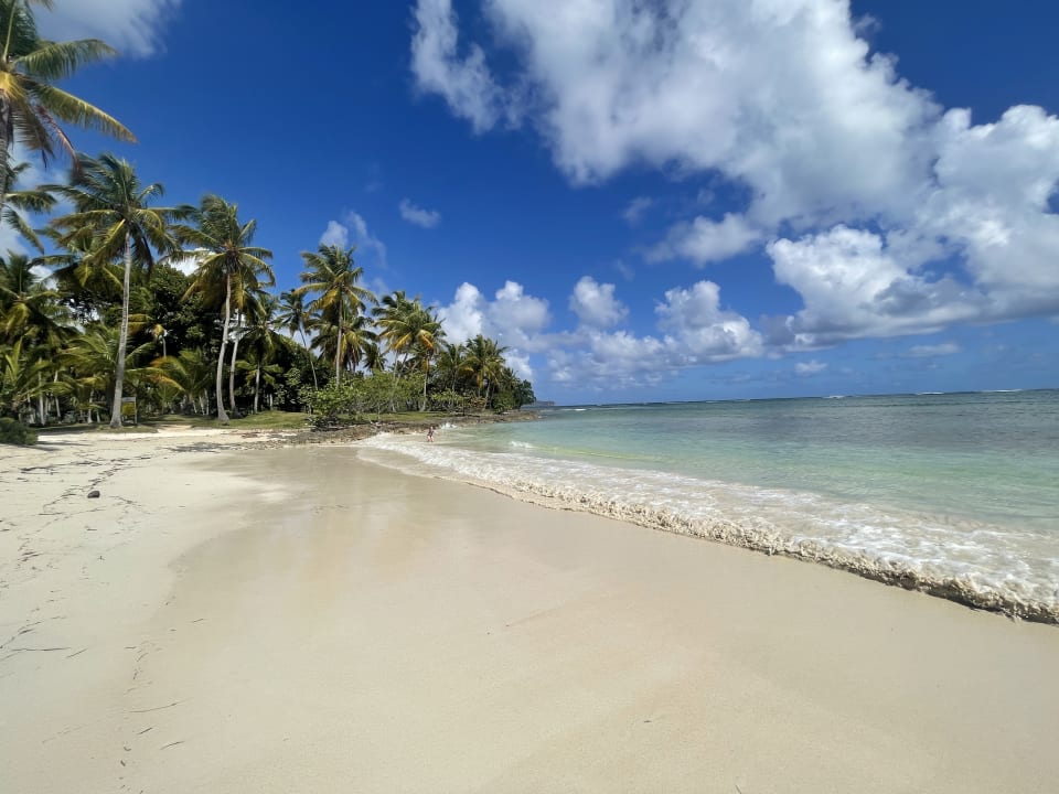 Strand Wyndham Alltra Samana