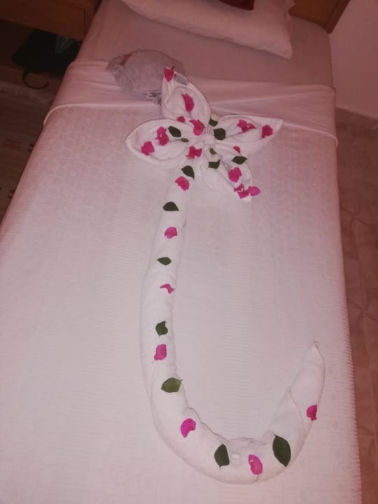 Zimmer Menaville Safaga