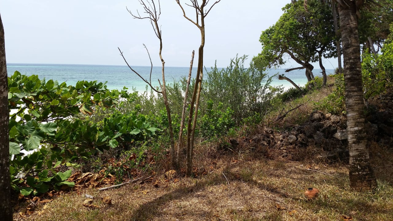 Hotel Baobab Beach Resort Baobab Beach Resort & Spa