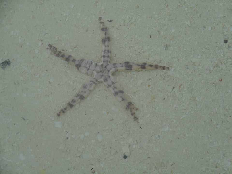 Strand Royal Zanzibar Beach Resort