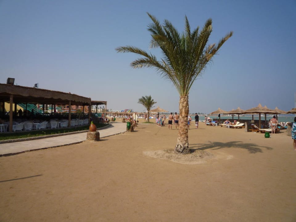 Strand mit Strandbar Titanic Beach Spa & Aqua Park