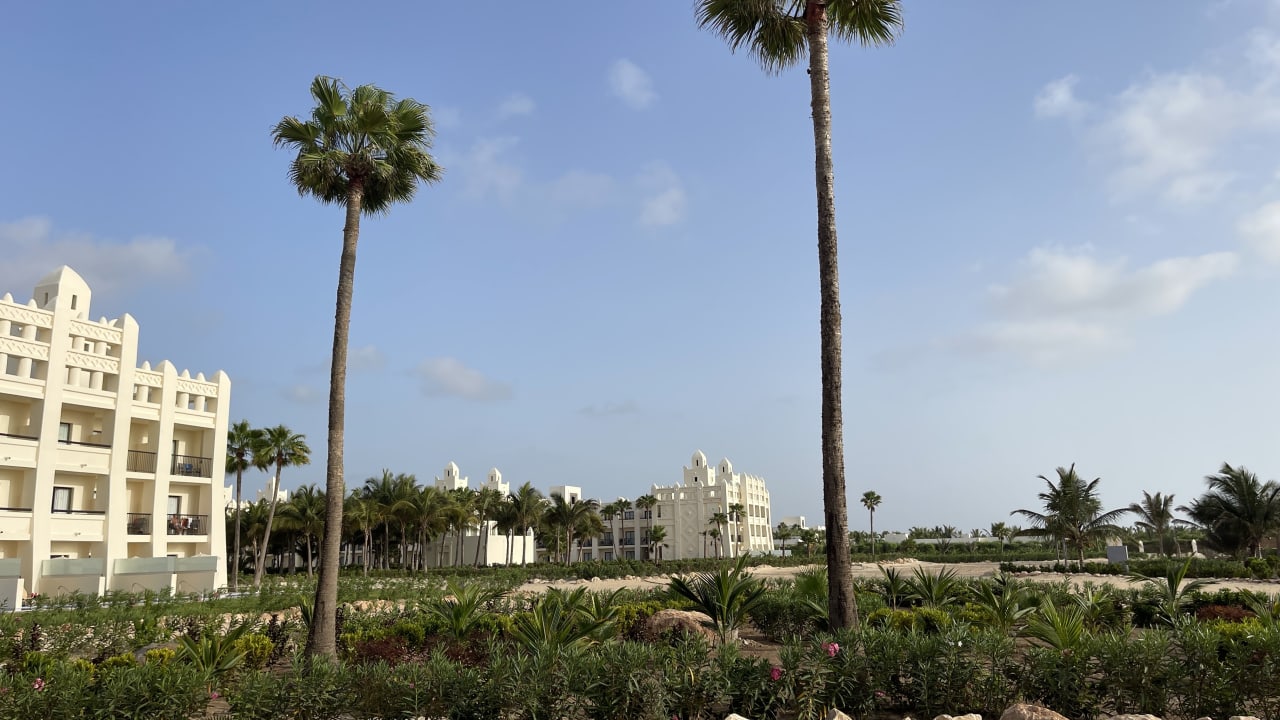Gartenanlage Hotel Riu Karamboa