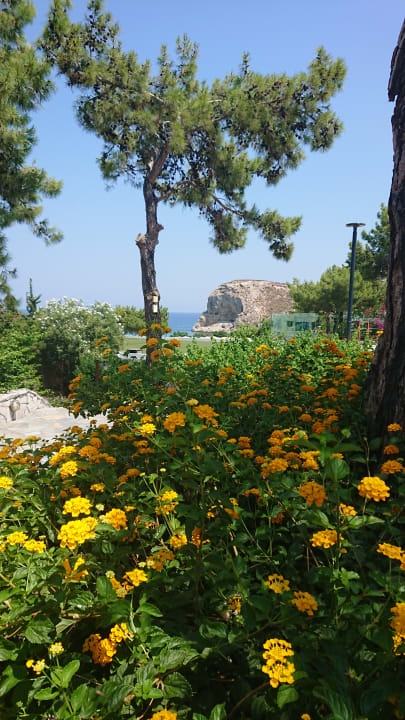 Ausblick alltoura Club Hotel Porto Angeli Beach Resort