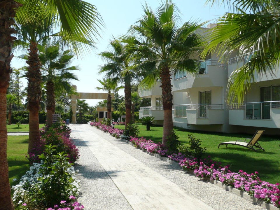 Nice surroundings Dream Family Club