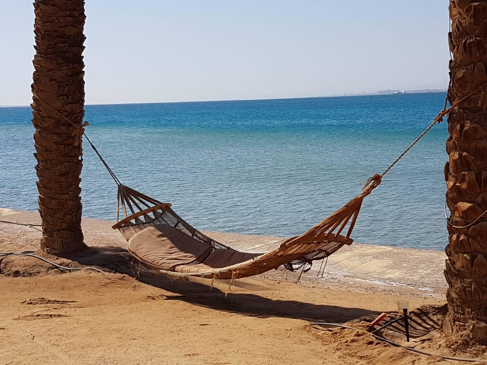 Hängematte im Ruhebereich Palm Royale Resort - Soma Bay