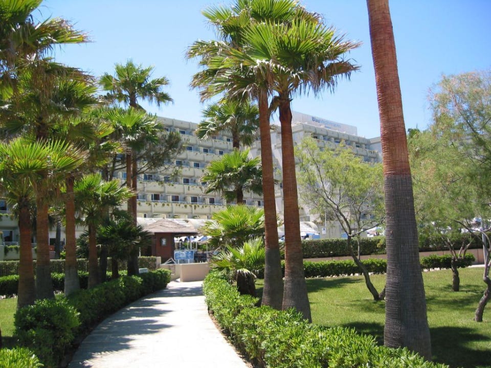 Hotel Blau Mediterraneo - Weg vom Pool zum Strand Hipotels Mediterraneo