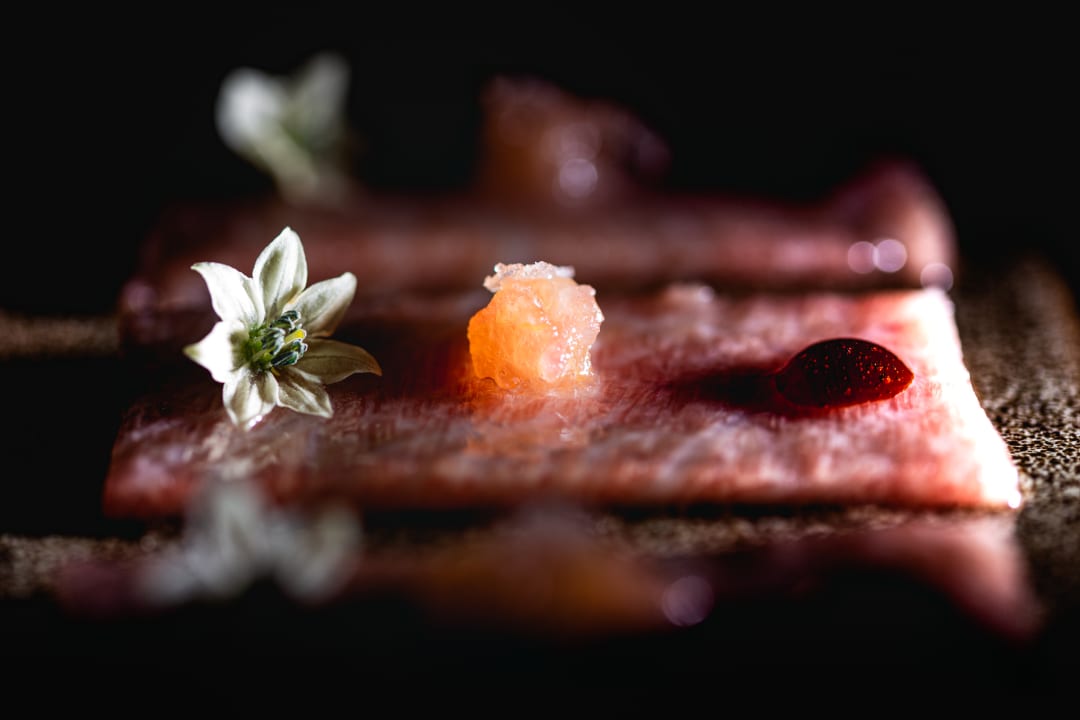 Gastro Royal Hideaway Corales Suites