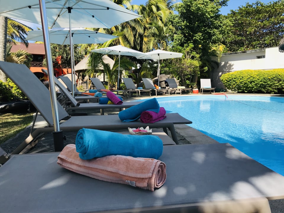 Pool Flowers of Paradise with LOV