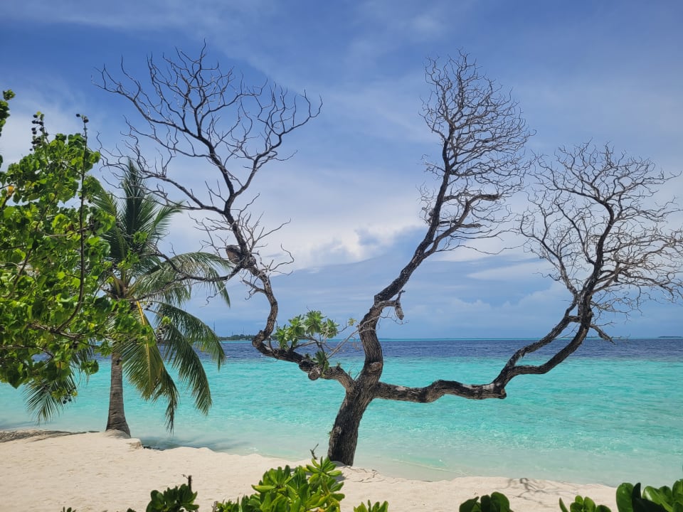 Strand Vilamendhoo Island Resort & Spa