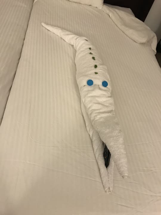 Zimmer Three Corners Happy Life Beach Resort