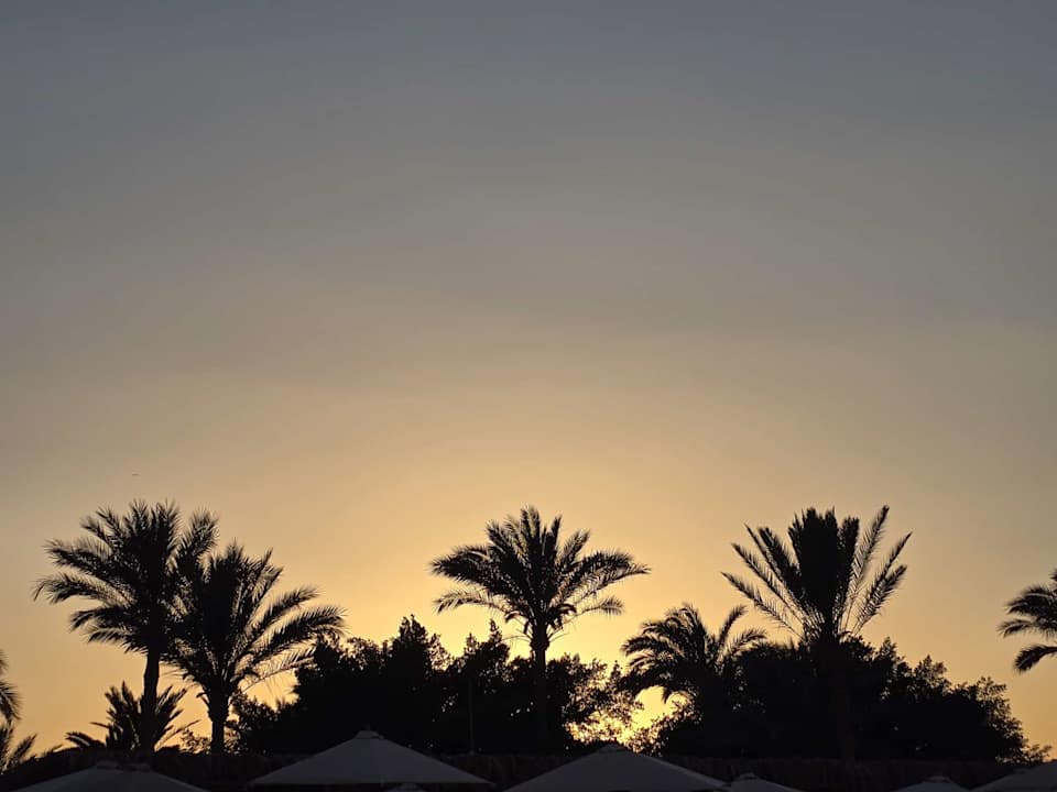 Außenansicht Desert Rose