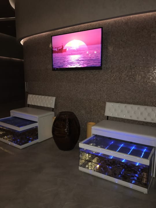 Sport & Freizeit Royal Seginus