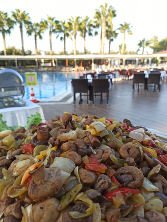 Gastro FUN&SUN Smart Hane Sun Hotel