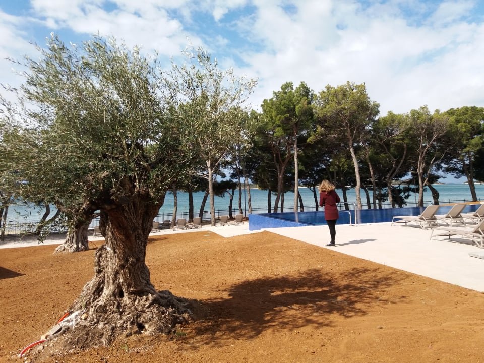 Gartenanlage Villas Arausana & Antonina