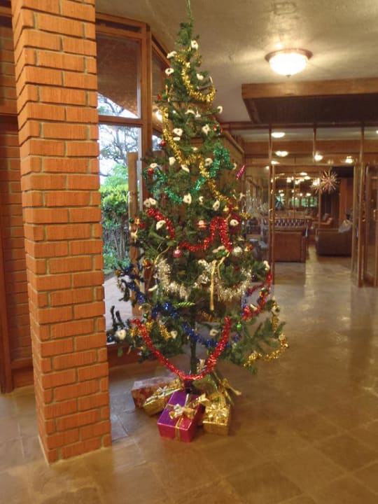 Es weihnachtet Manyara Wildlife Safari Camp