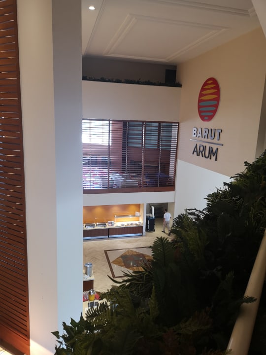 Gastro Arum Barut Collection