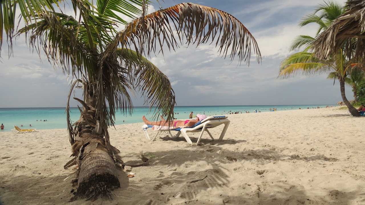 Enjoying the sun Hotel Roc Barlovento