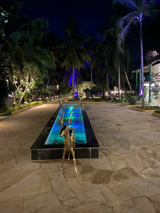 Gartenanlage Hotel Kiwengwa Beach Resort