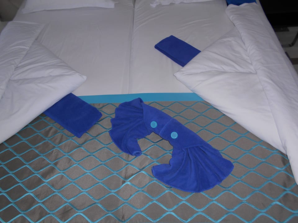 Zimmer Sentido Marea