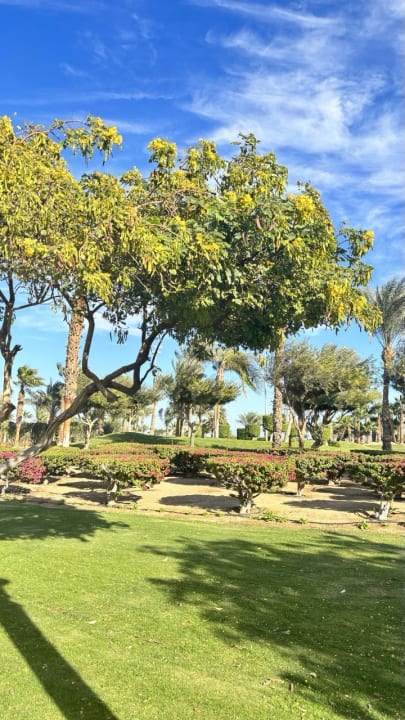 Gartenanlage Steigenberger Aqua Magic