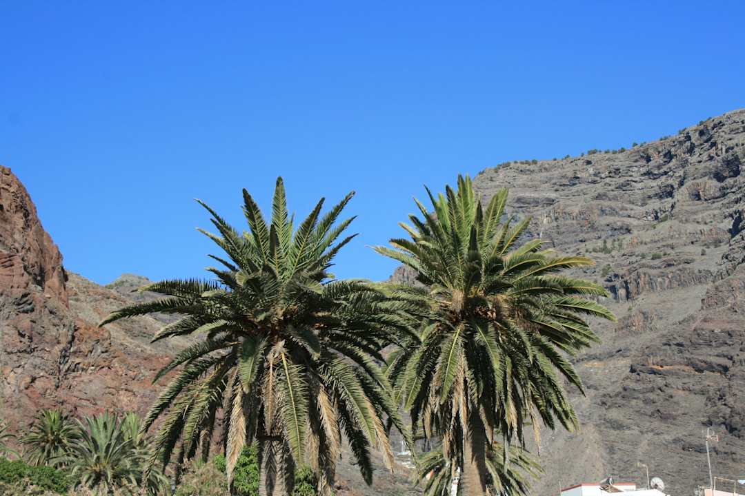 Vistas Apartments Los Medanos